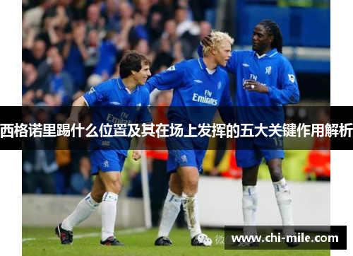 西格诺里踢什么位置及其在场上发挥的五大关键作用解析 西格诺里踢什么位置及其在场上发挥的五大关键作用解析