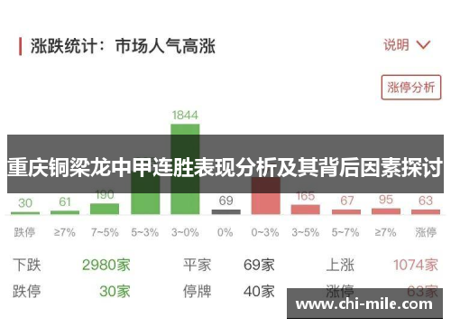 重庆铜梁龙中甲连胜表现分析及其背后因素探讨