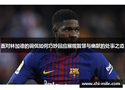 面对林加德的调侃如何巧妙回应展现智慧与幽默的处事之道 面对林加德的调侃如何巧妙回应展现智慧与幽默的处事之道