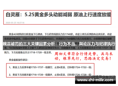 魏震被罚的三大关键因素分析：行为不当、舆论压力与纪律执行